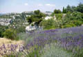 Provence